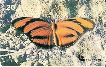 AC-035 - Borboleta - 3/3