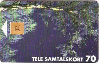 ALA-15 - Cena de Inverno