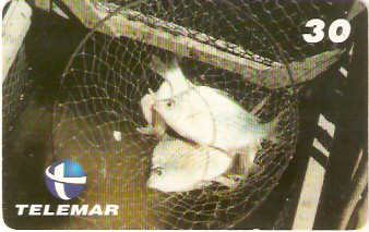 AL-056 - Carapeba