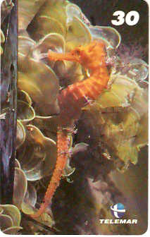 AL-086 - Recifes e Corais - 02/28