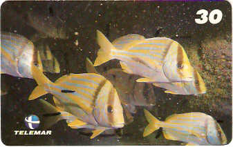 AL-088 - Recifes e Corais - 04/28