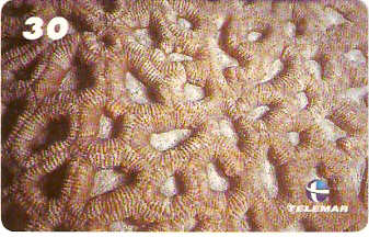 AL-089 - Recifes e Corais - 05/28