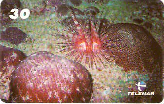 AL-090 - Recifes e Corais - 06/28