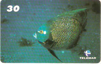 AL-092 - Recifes e Corais - 08/28