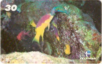 AL-099 - Recifes e Corais - 10/28