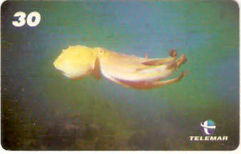 AL-100 - Recifes e Corais - 11/28