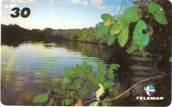 AL-101 - Recifes e Corais - 12/28