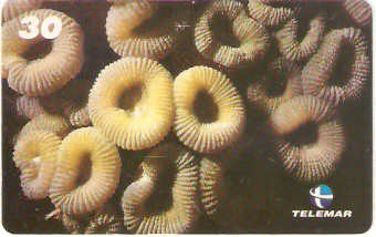 AL-111 - Recifes e Corais - 13/28