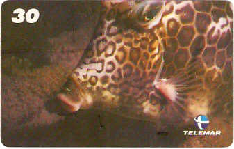 AL-112 - Recifes e Corais - 14/28