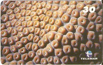 AL-116 - Recifes e Corais - 19/28