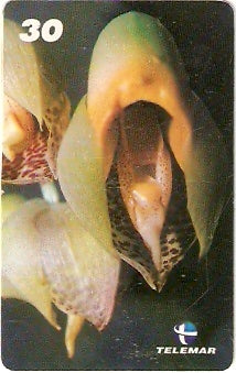 AL-123 - Orquídeas Nativas - 1