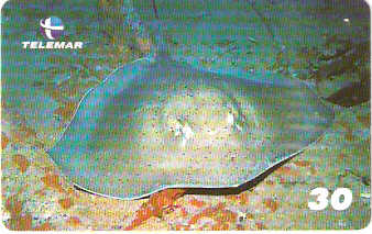 AL-130 - Recifes e Corais - 21/28