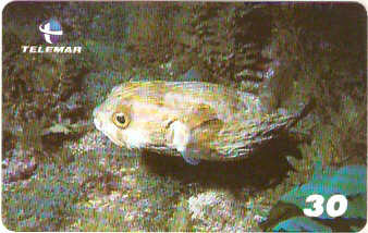 AL-131 - Recifes e Corais - 22/28