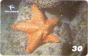 AL-132 - Recifes e Corais - 23/28