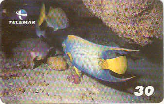 AL-133 - Recifes e Corais - 24/28