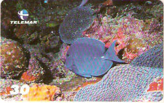 AL-134 - Recifes e Corais - 25/28