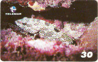 AL-135 - Recifes e Corais - 26/28