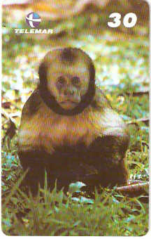 AL-148 - Primatas - 05/10