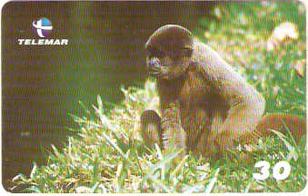 AL-149 - Primatas - 06/10