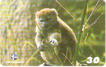 AL-162 - Primatas - 09/10