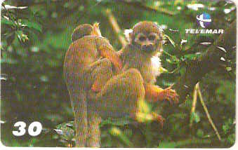 AL-163 - Primatas - 10/10