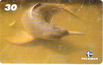 AM-048 - Boto Vermelho