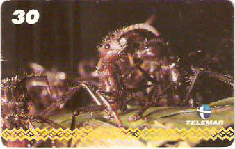 AM-053M - Dança - I1 4/8