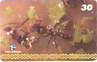 AM-058 - Dança - I2 1/8