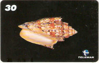 AM-067M - Conchas - 2/7