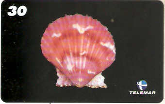 AM-068M - Conchas - 3/7