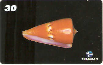 AM-069M - Conchas - 4/7