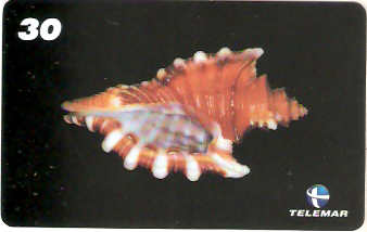 AM-070M - Conchas - 5/7