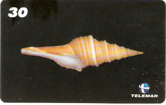 AM-071M - Conchas - 6/7