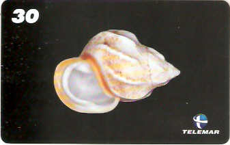 AM-072M - Conchas - 7/7