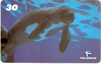 AM-078 - Peixe-Boi