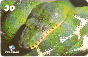 AM-094M - Répteis e Anfíbios - 1/3