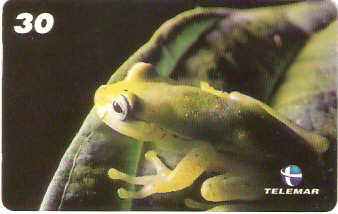 AM-095M - Répteis e Anfíbios - 2/3