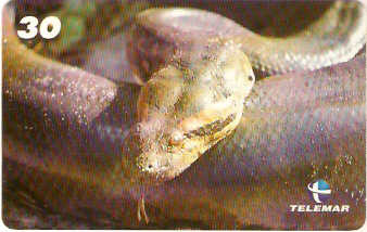 AM-096M - Répteis e Anfíbios - 3/3