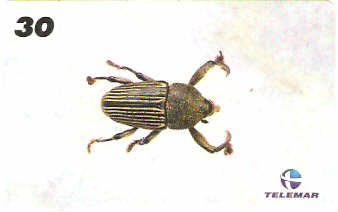 AM-144 - Insetos - 10/21