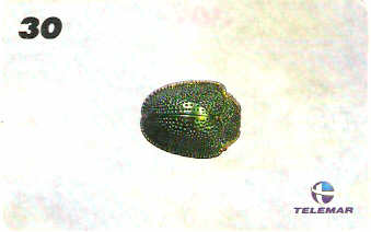 AM-150 - Insetos - 16/21