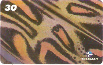 AM-153 - Insetos - 19/21