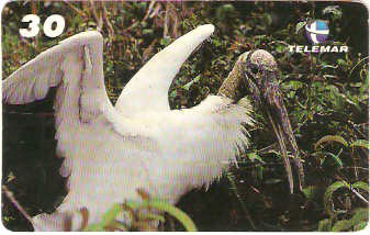 AM-156 - Tuiuiú