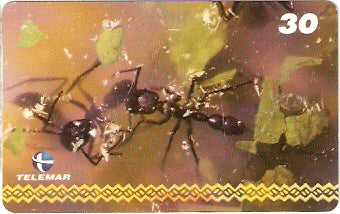 AM-246 - Dança - I3 1/8