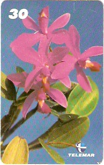 AM-321 - Orquídeas - 7/8