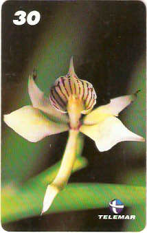 AM-322 - Orquídeas - 8/8