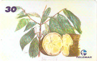 AM-333 - Fauna e Flora - I1 - 1