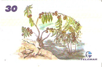 AM-335 - Fauna e Flora - I1 - 3