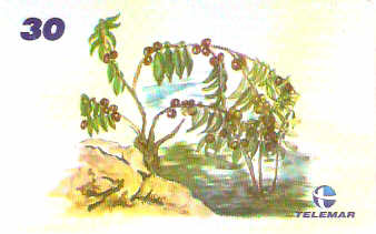 AM-340 - Fauna e Flora - I2 - 03/12