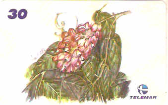 AM-341 - Fauna e Flora - I2 - 04/12