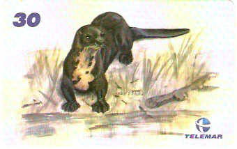 AM-343 - Fauna e Flora - I1 - 06/12